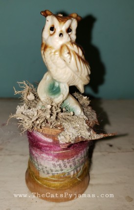 Owl Assemblage #6